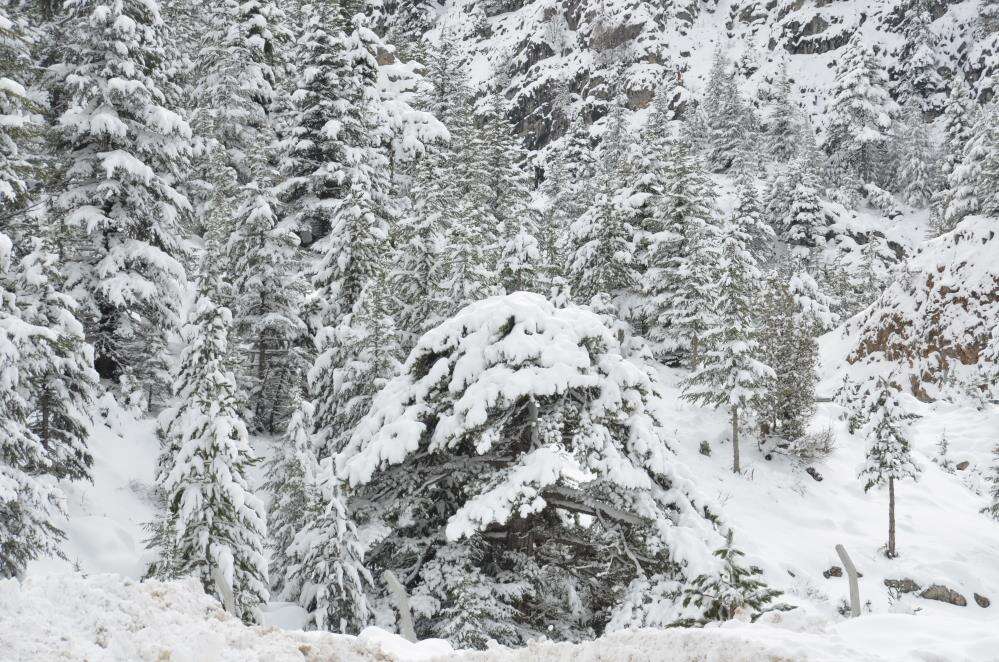 25 santim kar yağdığını duyan Konya yoluna akın etti 16